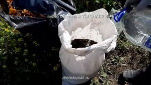 БЫСТРО и БЕСПЛАТНО делаем КОМПОСТ из листьев ОСЕНЬЮ 🍁🌿🍂