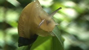 Притча. Торжество Вечности. 2025 год