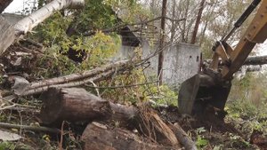 В Бийске приступили к реализации экологического проекта на озере Ковалевское