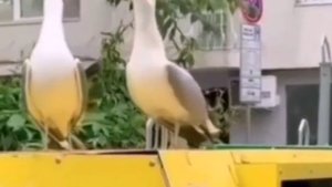 Когда рассказала подруге смешную историю