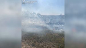 Один погибший и 10 раненых: ВСУ усиленно атакует Белгородчину