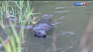 Вести-Томск, выпуск от 22.09.2025 21:10