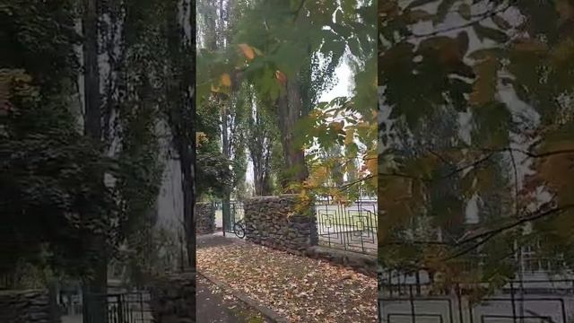 Любимый г. Курчатов смотреть онлайн