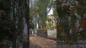 Любимый г. Курчатов