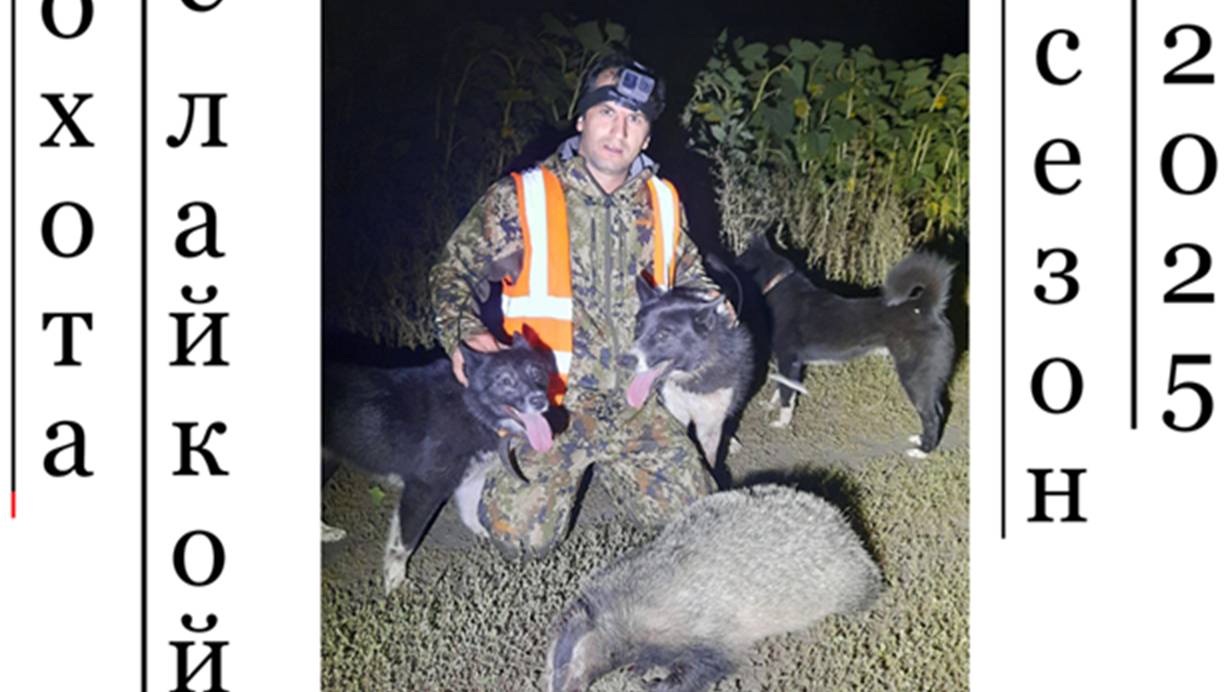 открытие охоты на барсука с лайками 2025 смотреть онлайн