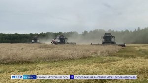 Илья Середюк: «Кузбасс уже обеспечил себя хлебом»