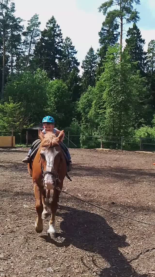 Конный клуб Бородино, Мытищи 01.06.2024
