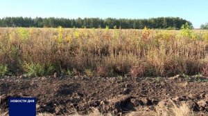 ОРЕНБУРГСКИЕ ЛЕСА ОХРАНЯЮТ ОТ ПОЖАРОВ