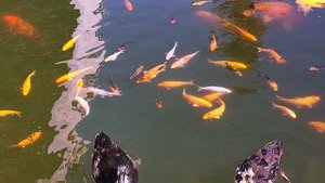 Крым 2025г. Автопробег .Часть 8. Херсонес Таврический, находится в Севастополе. Сентябрь 2025г