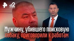 Суд приговорил к работам мужчину, убившего поисковую собаку в Челябинской области