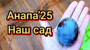 #Анапа. #наш осенний сад 23-09-2025