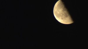 Великие Неразлучные Мастера 2025 год