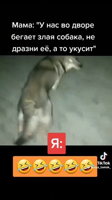 Форц смотреть онлайн