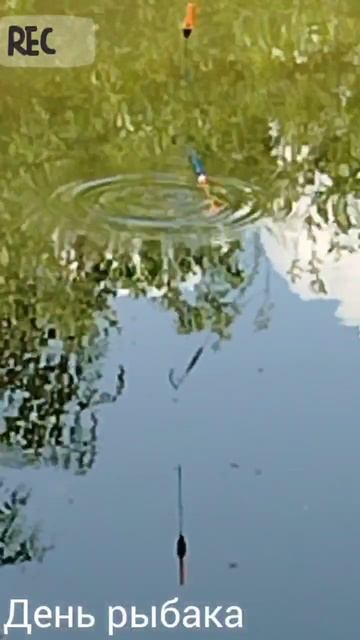 КАРАСЬ 😁гайд часть 3 как ловить карася? случай на рыбалке! смотри 4 часть - заключительную!