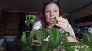 Съездила в город Чердынь.Что то опять я там купила.