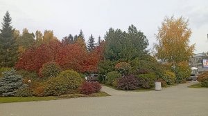 1000005445.mp4 Зоопарк