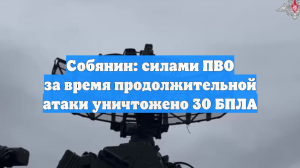 Собянин: силами ПВО за время продолжительной атаки уничтожено 30 БПЛА