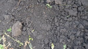 1000011146.mp4. 🚀🖋️ ЗДЕСЬ СКУЧАТЬ НЕКОГДА💃🔥 МОИ БУДНИ 🚀🖋️