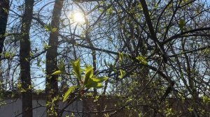 14#VLOG//Неделька