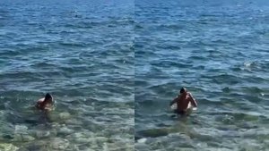 Навык. Артём Пронин. Плавание разными стилями.