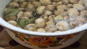 Маринованные грибы на зиму