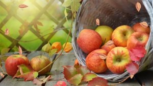 ФУТАЖ  - ЗОЛОТАЯ ОСЕНЬ