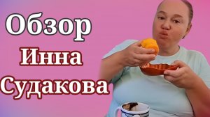 Инна Судакова. Обзор