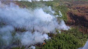 Российские самолеты-амфибии Бе-200 будут тушить пожары в Турции до конца сентября