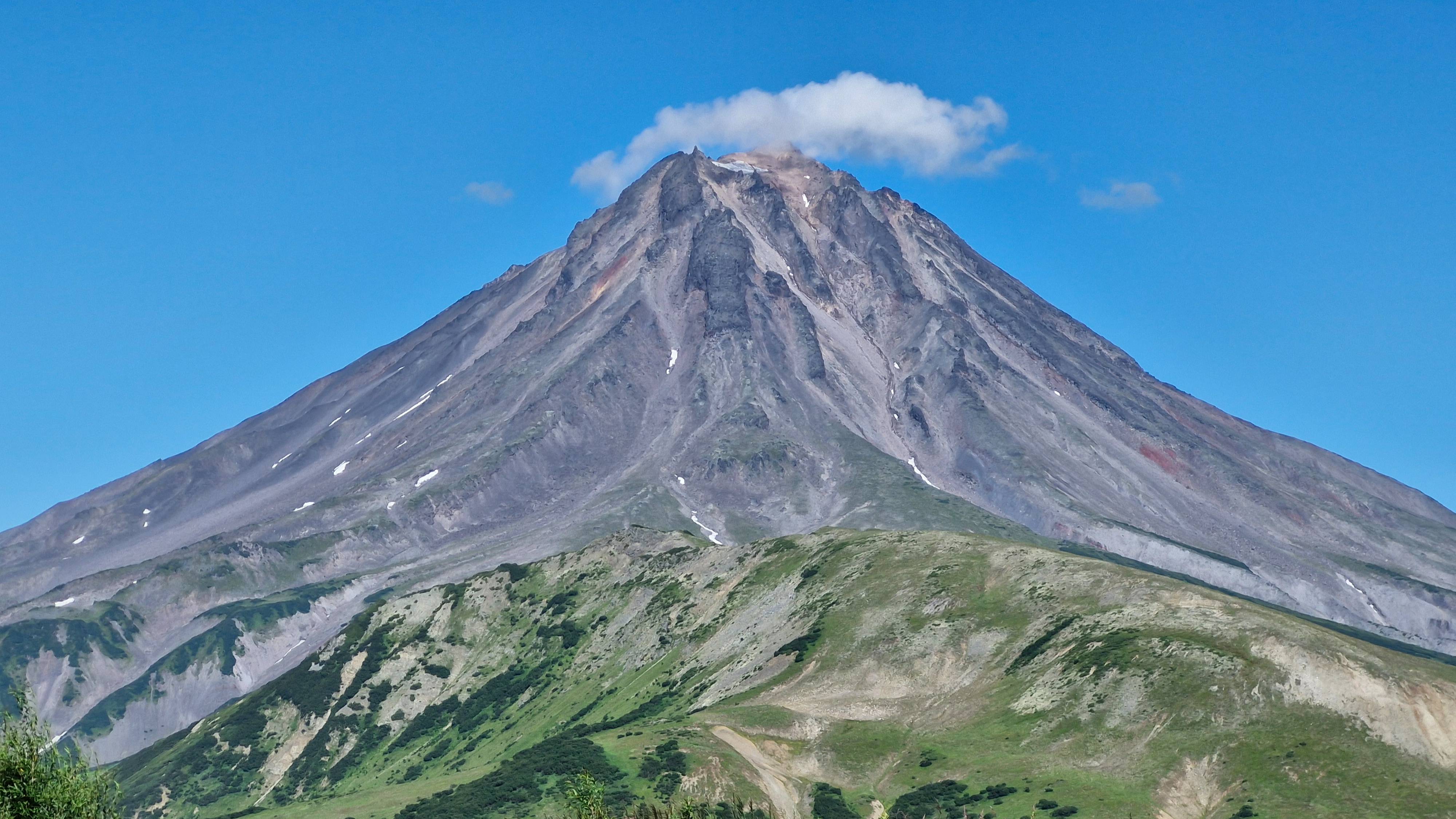 Встретили евражек - камчатских сусликов.