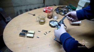 Ирина Волк: В Новосибирске полицейские выявили подпольные мастерские по изготовлению оружия