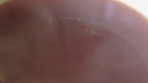 Копченые яйца