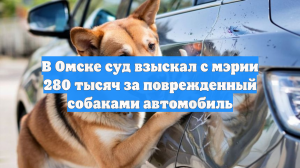 В Омске суд взыскал с мэрии 280 тысяч за поврежденный собаками автомобиль