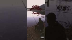 Empire ants, gorillaz (slow)