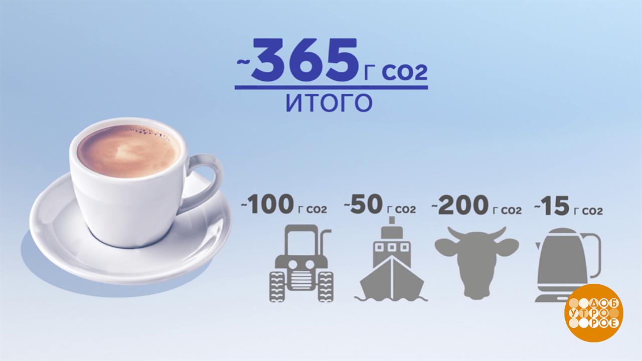 Углеродный след: все наследили? Доброе утро. Фрагмент выпуска от 23.09.2025