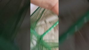 аквариумные новости