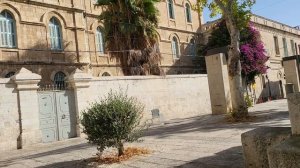 Я озвучила ваши молитвенные письма на Рождество Пресвятой Богородицы