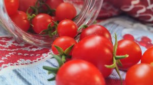 Сад - огород на балконе. Что выросло у меня в горшках.