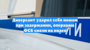 Диверсант ударил себя ножом при задержании, операцию ФСБ сняли на видео