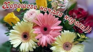 ЗАМЕЧАТЕЛЬНОГО ПОНЕДЕЛЬНИКА!