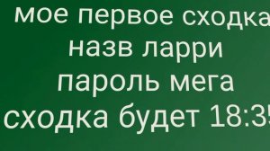 сходка 100 пд