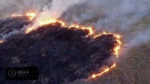 В Новосибирске горит зоопарк