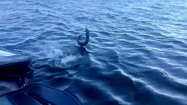 рыбалка троллингом в сентябре на Волге