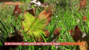 А за окном. 23 сентября 2025