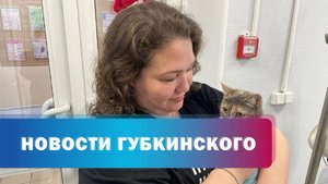 Льготная стерилизация животных