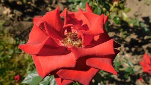 22==09==2025 ПВН КМР (17)