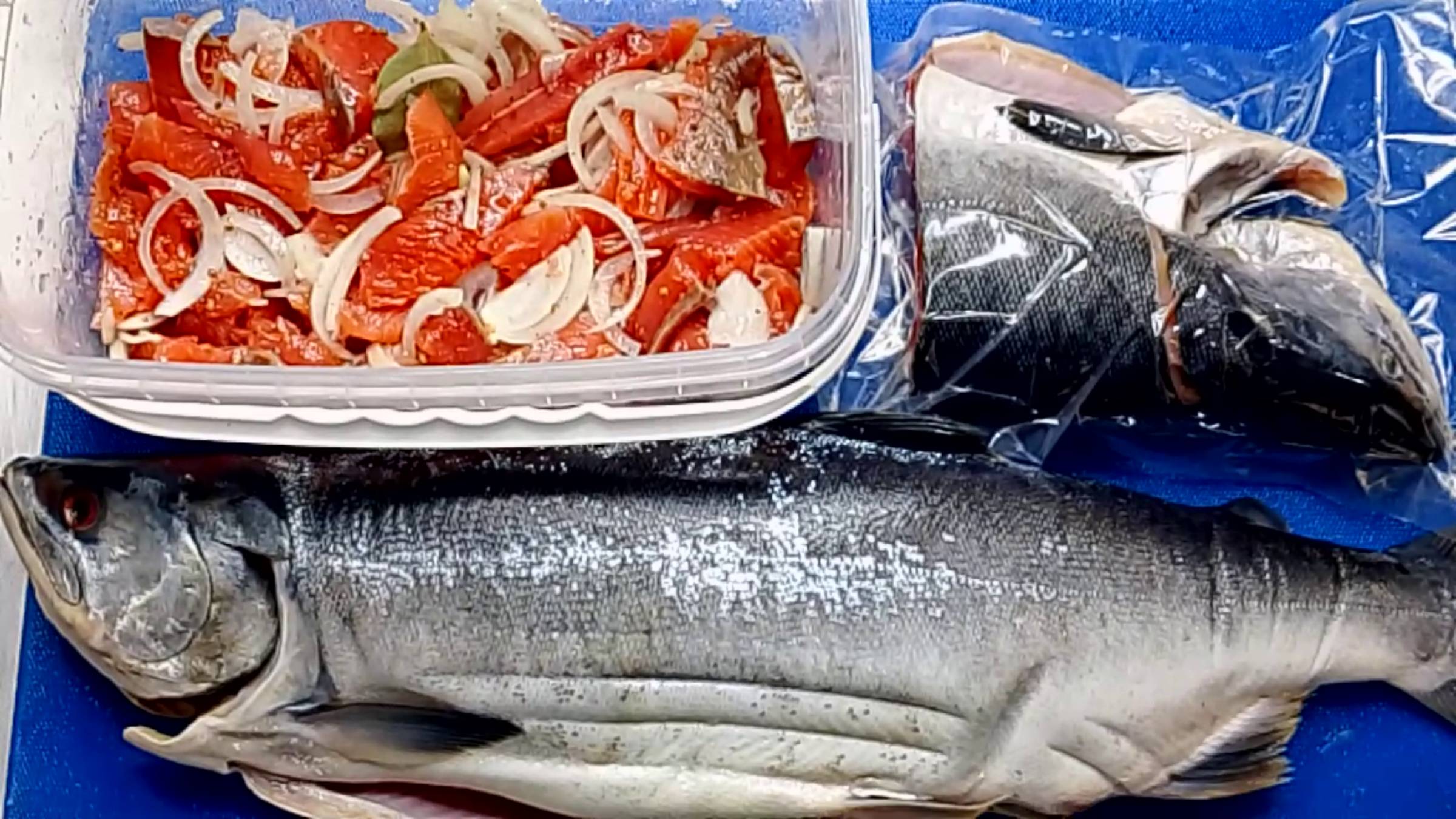 ЛОСОСИ ДИКИЕ СЕМУЖНОГО ПОСОЛА ГОСТ 16080-2019,ГОСТ 13686-68 ДЕЙСТВУЮЩИЙ,ТЕХ.ИНСТРУКЦИЯ №272 1991 смотреть онлайн