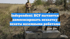 Independent: ВСУ пытаются компенсировать нехватку пехоты наземными роботами