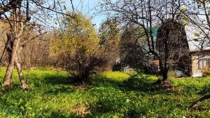 Тот, с тобою наш став...