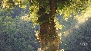 Истории из жизни "Чужая воля, как магия помогла вернуть мужа и побелить соперницу" Жизненные истории