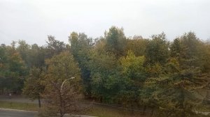 Осень наступила💥